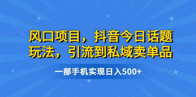 风口项目，抖音今日话题玩法，引流到私域卖单品，一部手机实现日入500+-温馨分享网