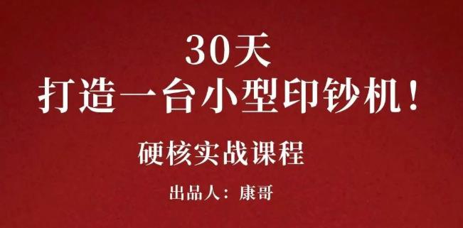 康哥30天打造一台小型印钞机：躺赚30万的项目完整复盘（视频教程）-温馨分享网