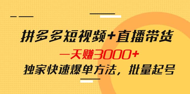 拼多多短视频+直播带货，一天赚3000+独家快速爆单方法，批量起号-温馨分享网