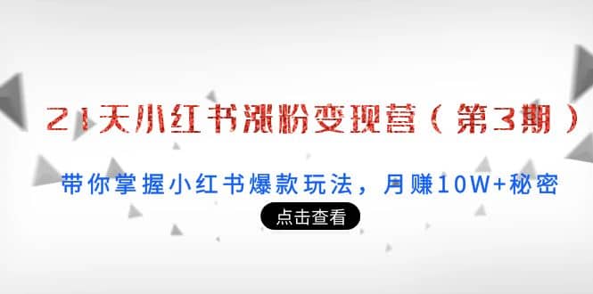 21天小红书涨粉变现营（第3期）：带你掌握小红书爆款玩法，月赚10W+秘密-温馨分享网