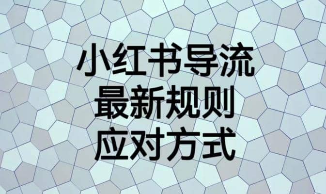 小红书导流最新规则应对方式【揭秘】-温馨分享网