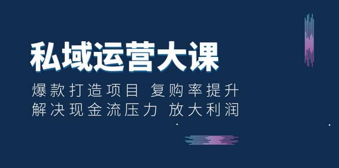私域运营大课：爆款打造项目 复购率提升 解决现金流压力 放大利润-温馨分享网