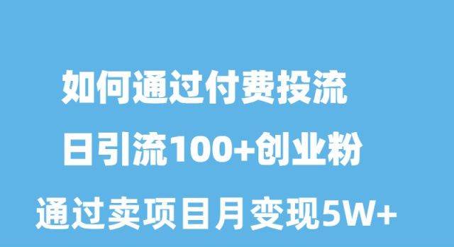 如何通过付费投流日引流100+创业粉月变现5W+-温馨分享网