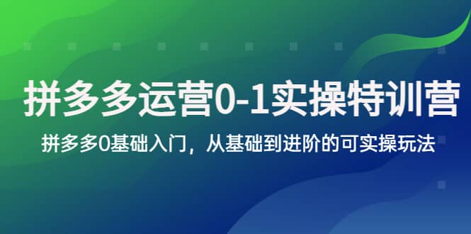 拼多多-运营0-1实操训练营，拼多多0基础入门，从基础到进阶的可实操玩法-温馨分享网