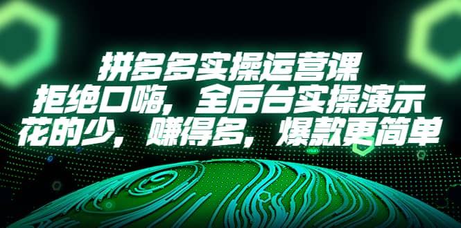 拼多多实操运营课：拒绝口嗨，全后台实操演示，花的少，赚得多，爆款更简单-温馨分享网