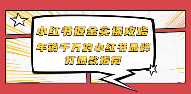 小红书掘金实操攻略，年销千万的小红书品牌打爆款指南-温馨分享网