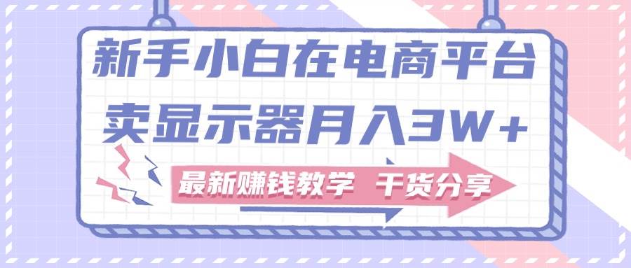 新手小白如何做到在电商平台卖显示器月入3W+，最新赚钱教学干货分享-温馨分享网