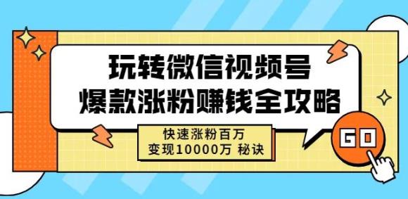 玩转微信视频号爆款涨粉赚钱全攻略，快速涨粉百万变现万元秘诀-温馨分享网