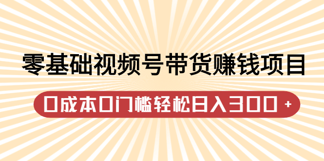 零基础视频号带货赚钱项目，0成本0门槛轻松日入300+【视频教程】-温馨分享网