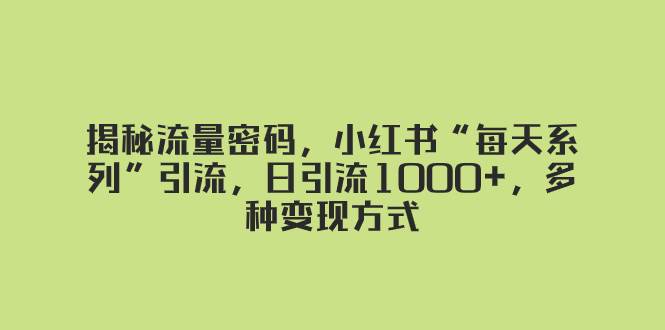 揭秘流量密码，小红书“每天系列”引流，日引流1000+，多种变现方式-温馨分享网