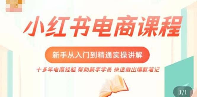 小红书电商新手入门到精通实操课，从入门到精通做爆款笔记，开店运营-温馨分享网
