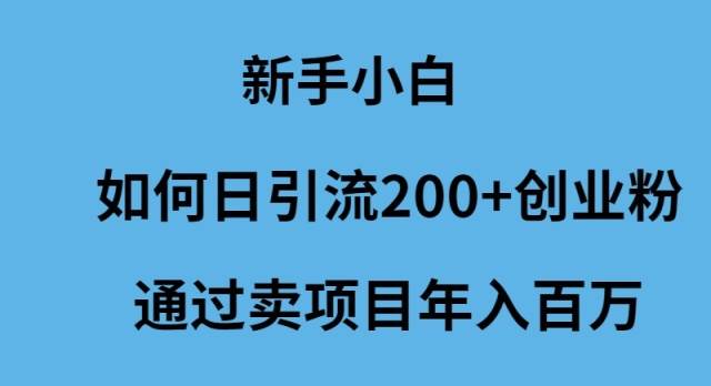新手小白如何日引流200+创业粉通过卖项目年入百万-温馨分享网