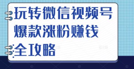 玩转微信视频号爆款涨粉赚钱全攻略，让你快速抓住流量风口，收获红利财富-温馨分享网