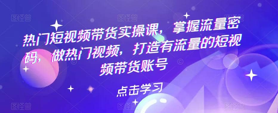 热门短视频带货实战 掌握流量密码 做热门视频 打造有流量的短视频带货账号-温馨分享网