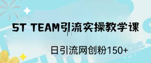 ST TEAM引流实操课，日引流网创粉100+-温馨分享网