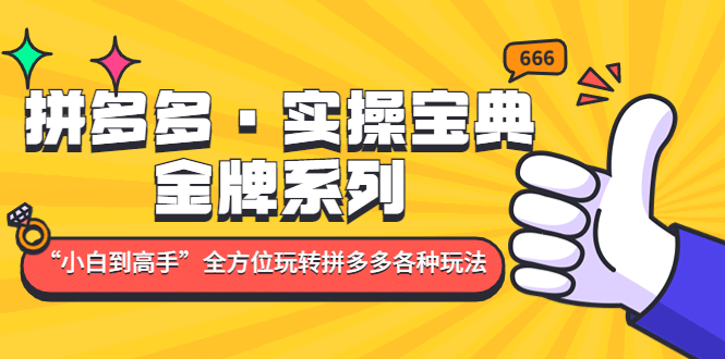 拼多多·实操宝典：金牌系列“小白到高手”带你全方位玩转拼多多各种玩法-温馨分享网