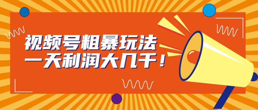 视频号粗暴玩法，一天利润大几千-温馨分享网