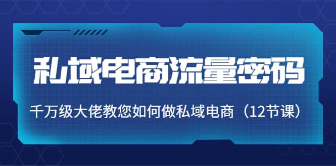 私域电商流量密码：千万级大佬教您如何做私域电商（12节课）-温馨分享网