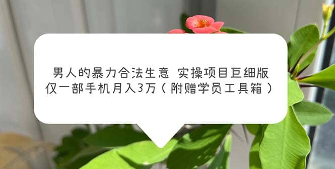 男人的暴力合法生意实操项目巨细版：仅一部手机月入3w（附赠学员工具箱）-温馨分享网