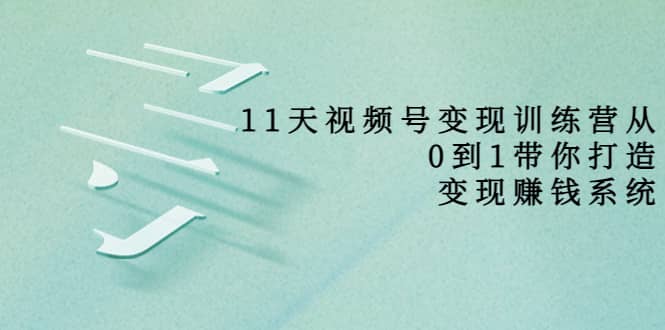 好望角·11天视频号变现训练营，从0到1打造变现赚钱系统（价值398）-温馨分享网