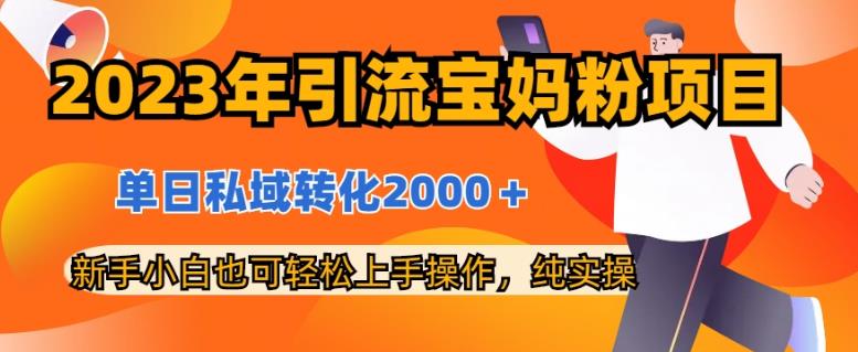 2023年引流宝妈粉项目，单日私域转化2000＋，新手小白也可轻松上手操作，纯实操-温馨分享网