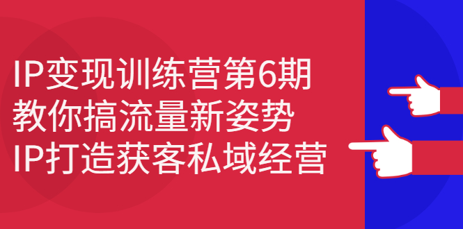 IP变现训练营第6期：教你搞流量新姿势，IP打造获客私域经营-温馨分享网