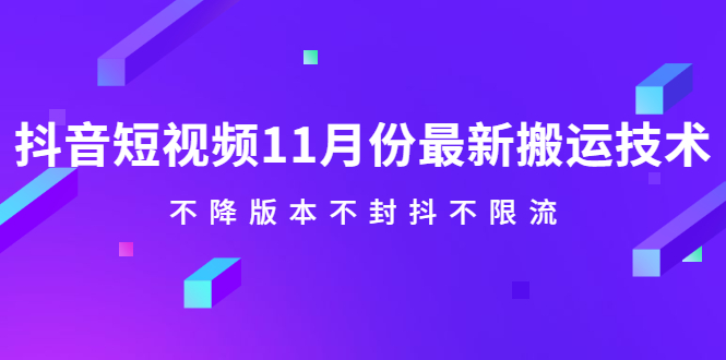 抖音短视频11月份最新搬运技术，不降版本不封抖不限流！【视频课程】-温馨分享网
