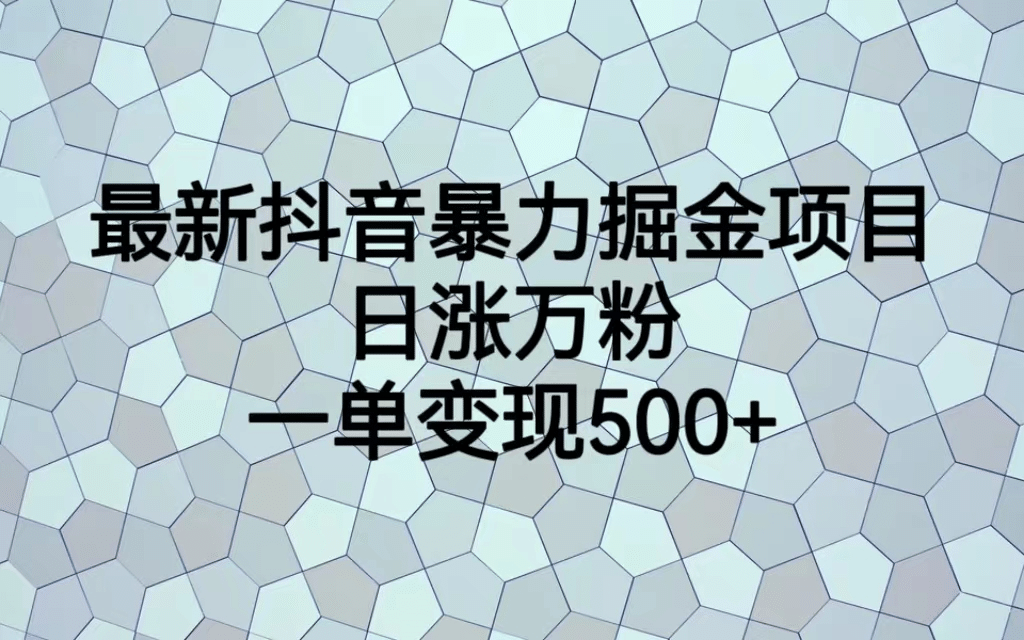 最火热的抖音暴力掘金项目，日涨万粉，多种变现方式，一单变现可达500+-温馨分享网