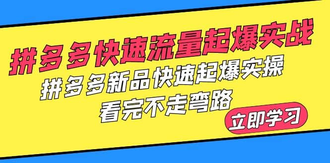 拼多多-快速流量起爆实战，拼多多新品快速起爆实操，看完不走弯路-温馨分享网