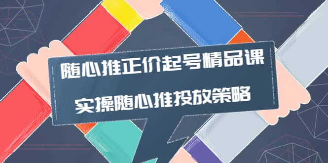 随心推正价起号精品课，实操随心推投放策略（5节课-价值298）-温馨分享网