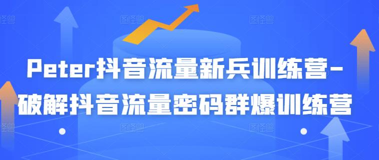 Peter抖音流量新兵训练营-破解抖音流量密码群爆训练营（新兵）-温馨分享网