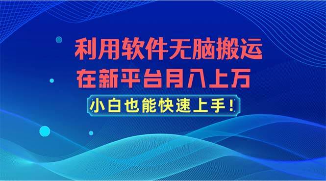 利用软件无脑搬运，在新平台月入上万，小白也能快速上手-温馨分享网