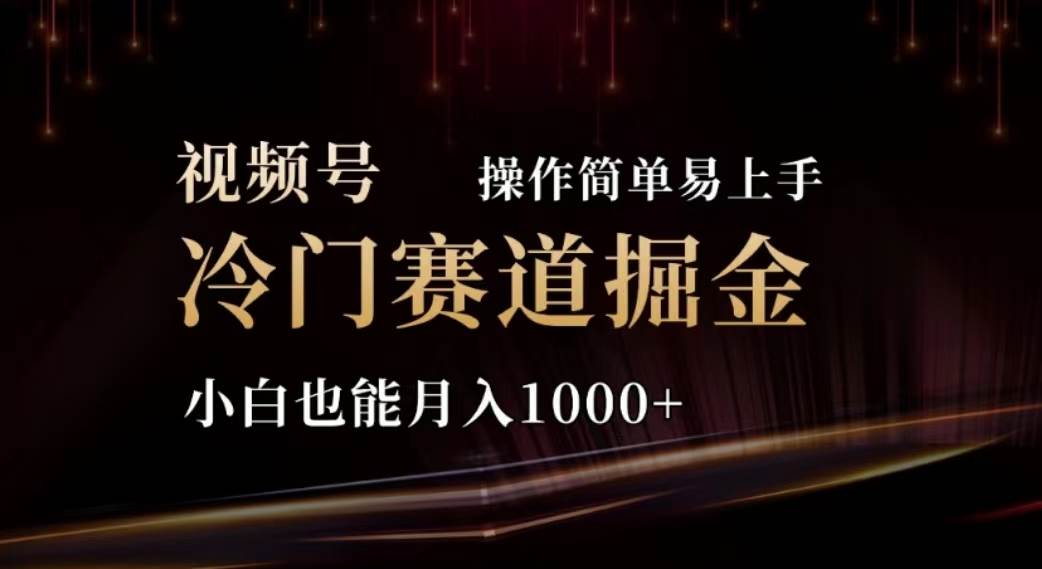 2024视频号冷门赛道掘金，操作简单轻松上手，小白也能月入1000+-温馨分享网