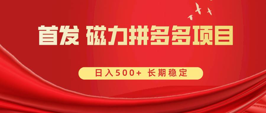首发 磁力拼多多自撸  日入500+-温馨分享网