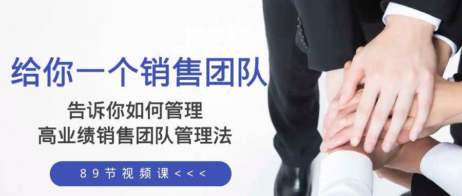 给你一个销售团队，告诉你如何管理，高业绩销售团队管理法（89节课）-温馨分享网