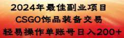 2024年最佳副业项目 CSGO饰品装备交易 轻易操作单账号日入200+-温馨分享网