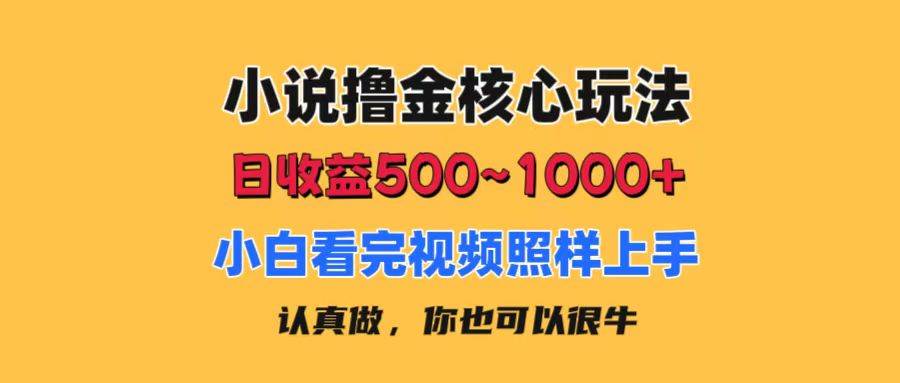 小说撸金核心玩法，日收益500-1000+，小白看完照样上手，0成本有手就行-温馨分享网