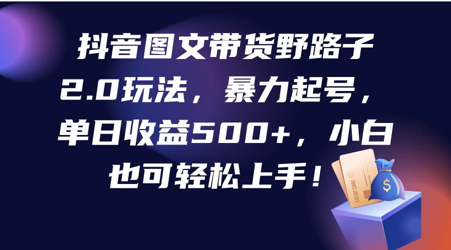 抖音图文带货野路子2.0玩法，暴力起号，单日收益500+，小白也可轻松上手！-温馨分享网