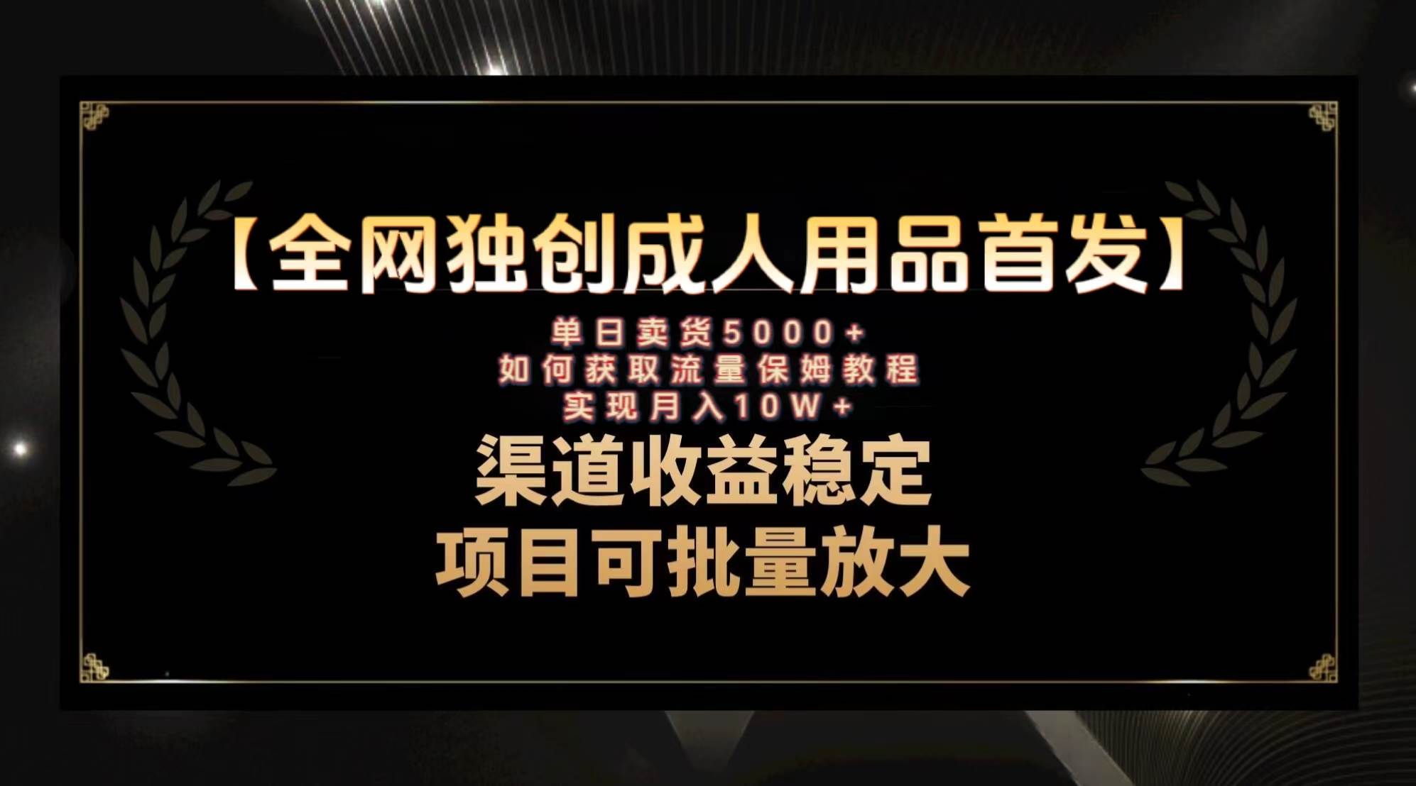 最新全网独创首发，成人用品赛道引流获客，月入10w保姆级教程-温馨分享网
