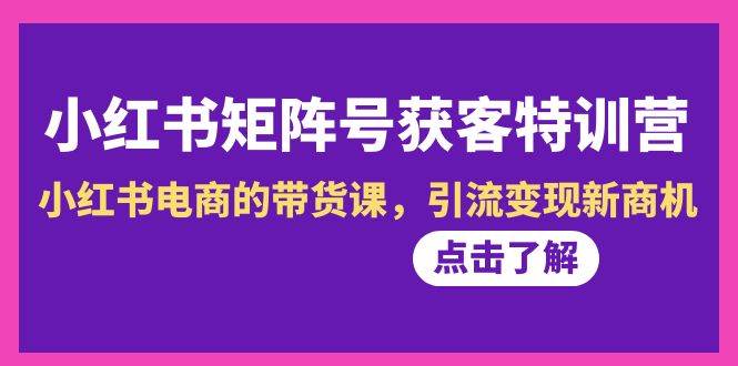 小红书-矩阵号获客特训营-第10期，小红书电商的带货课，引流变现新商机-温馨分享网