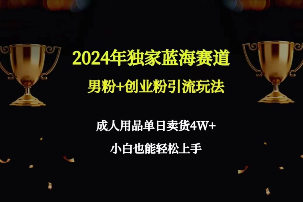 2024年独家蓝海赛道男粉+创业粉引流玩法，成人用品单日卖货4W+保姆教程-温馨分享网