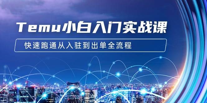 Temu小白入门实战课：跨境拼多多电商培训 快速跑通从入驻到出单全流程-12节-温馨分享网