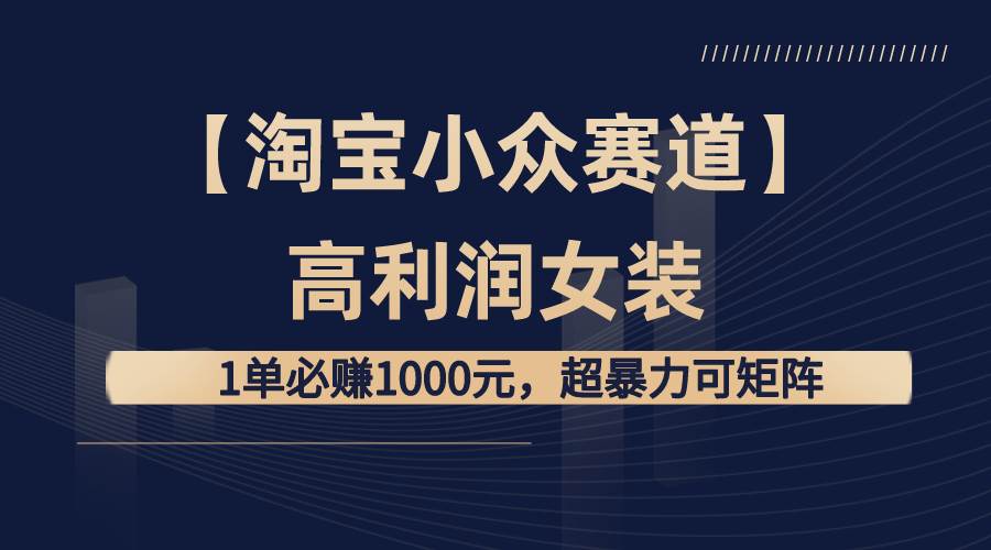 【淘宝小众赛道】高利润女装：1单必赚1000元，超暴力可矩阵-温馨分享网
