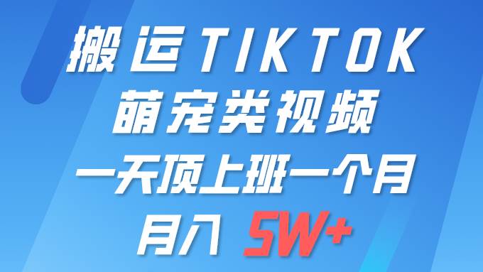 一键搬运TIKTOK萌宠类视频 一部手机即可操作 所有平台均可发布 轻松月入5W+-温馨分享网