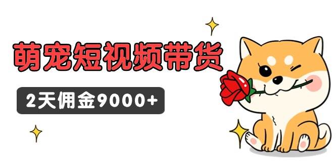 东哲日记·萌宠短视频带货，2天佣金9000+-温馨分享网