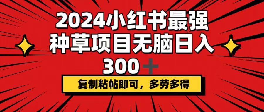 2024小红书最强种草项目，无脑日入300+，复制粘帖即可，多劳多得-温馨分享网