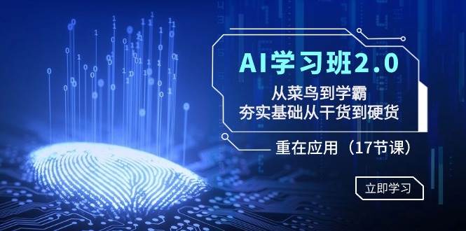 AI学习班2.0：从菜鸟到学霸，夯实基础从干货到硬货，重在应用（17节课）-温馨分享网