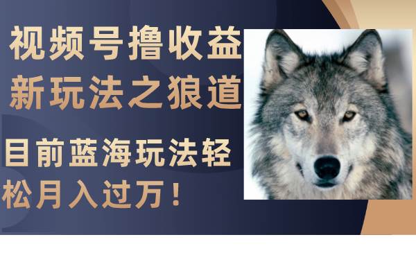视频号撸收益新玩法之狼道，目前蓝海玩法轻松月入过万！-温馨分享网