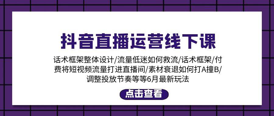 抖音直播运营线下课：话术框架/付费流量直播间/素材A撞B/等6月新玩法-温馨分享网