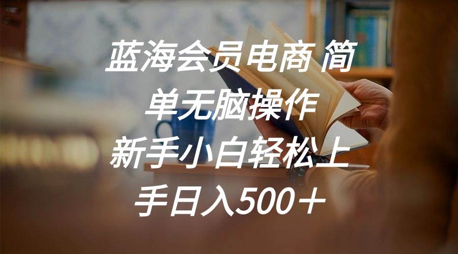 蓝海会员电商 简单无脑操作 新手小白轻松上手日入500＋-温馨分享网